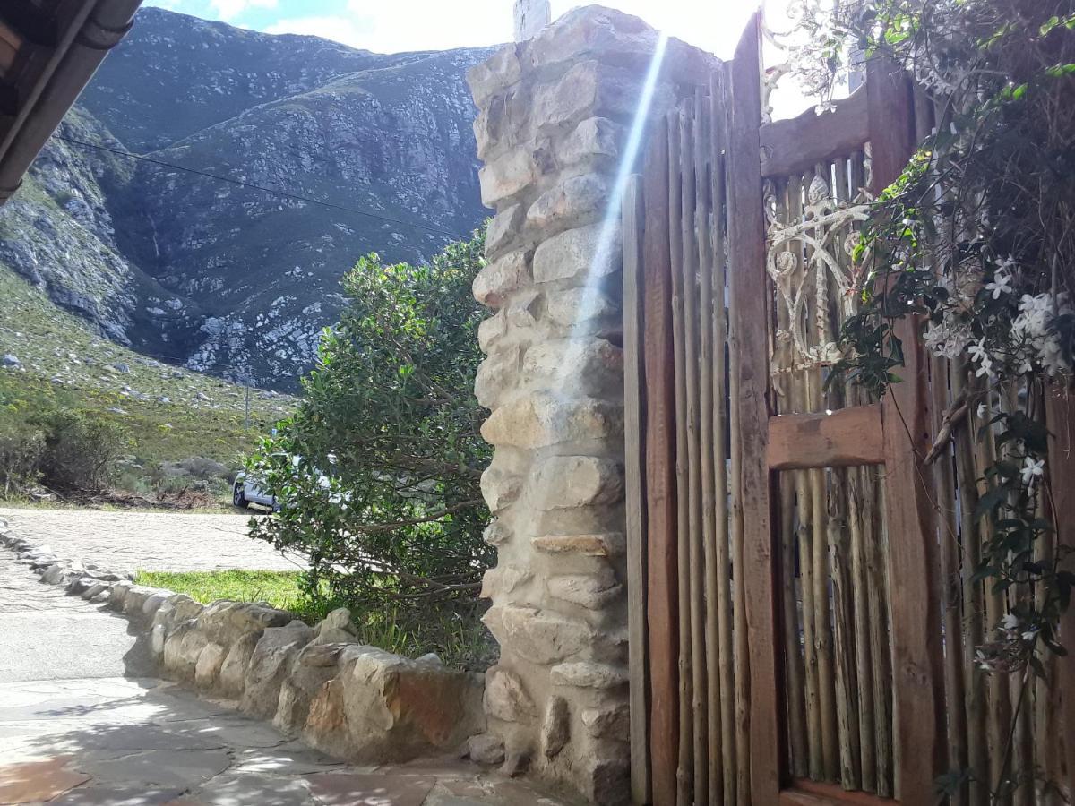 The Trailhouse Hotel Bettys Bay Exterior photo